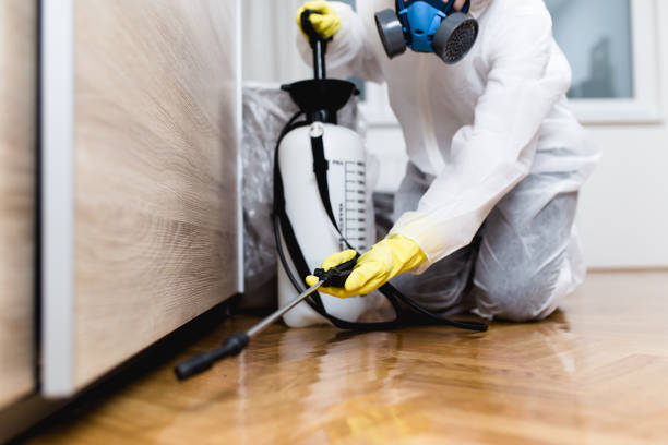 Best Best Pest Control Companies  in Weatherford, TX