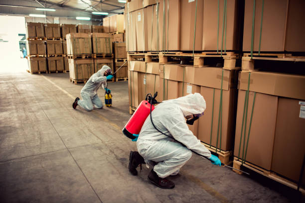 Best Bed Bug Extermination  in Weatherford, TX