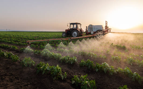 Best Insect Control  in Weatherford, TX