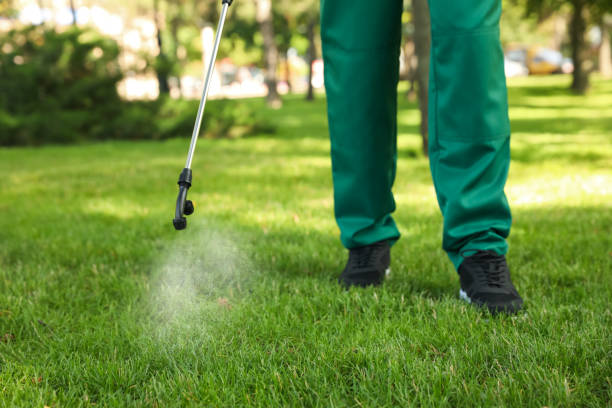 Best Flea Control Services  in Weatherford, TX