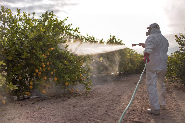 Best Cockroach Control Services  in Weatherford, TX