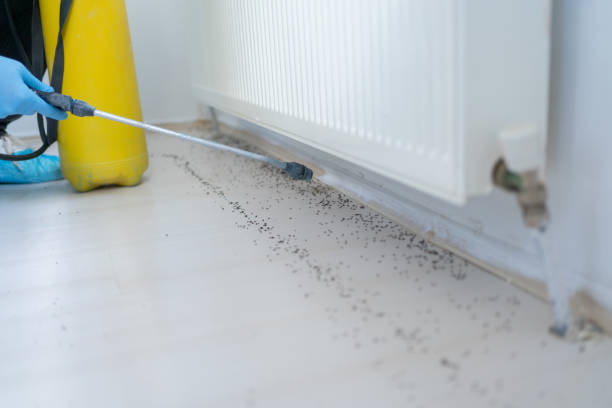 Best Emergency Pest Control  in Weatherford, TX