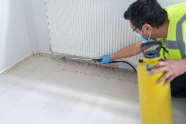 Best Residential Pest Control  in Weatherford, TX