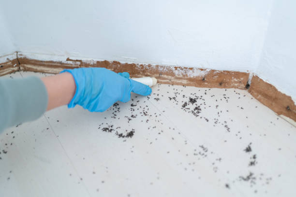 Pest Control for Restaurants in Weatherford, TX
